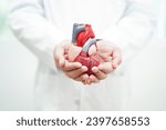 Small photo of Cardiovascular disease CVD, doctor with heart human model anatomy for treatment patient in hospital.