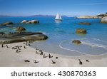 Penguins can be viewed in Boulders Beach, a famous attraction point in the Table Mountain National Park, South Africa. This Bay is the breeding area and visitors can view the penguins from platforms.