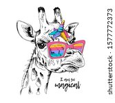 funny giraffe in a rainbow... | Shutterstock .eps vector #1577772373
