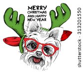 Christmas Card. Yorkie Puppy...