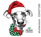 Christmas Card. Funny Dog...