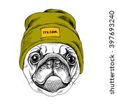 Portrait Of The Pug In A...