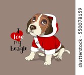 Puppy Beagle In A Red Jumper...