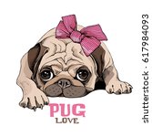 Pug Puppy With A Pink Bow....