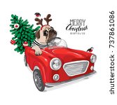Christmas Card. Pug Dog In A...