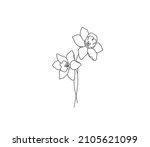 Vector Isolated Two Narcissus...