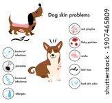 dog skin problems disease... | Shutterstock .eps vector #1907465809