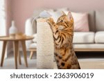 Small photo of A Bengal cat plays with a plush mouse on a scratching post. Cat and scratching post.