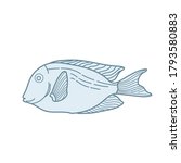 fish. illustration decorative... | Shutterstock . vector #1793580883