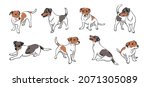 jack russell terrier set.... | Shutterstock .eps vector #2071305089