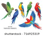 tropical parrots collection.... | Shutterstock .eps vector #716925319
