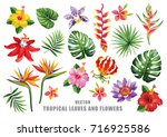 tropical collection with exotic ... | Shutterstock .eps vector #716925586