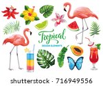 tropical collection for summer... | Shutterstock .eps vector #716949556
