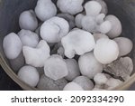Hailstones the size of golf balls in a bucket after severe storm