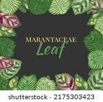 green tropical leaves on black... | Shutterstock .eps vector #2175303423