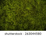 Green Moss Background Texture...