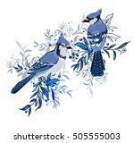 Blue Jay Bird Vector...