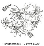 hand drawn flowers vector... | Shutterstock .eps vector #719951629