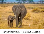 Elephant and her baby walking through Amboseli National Park