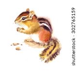 Watercolor Wild Animal Rodent...