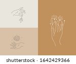 set of logo designs with hands. ... | Shutterstock .eps vector #1642429366