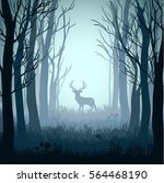 deer in autumn misty forest... | Shutterstock . vector #564468190