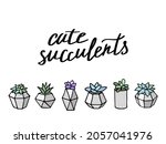succulents set in modern... | Shutterstock .eps vector #2057041976
