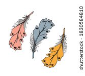 colorful detailed bird feathers ... | Shutterstock .eps vector #1830584810