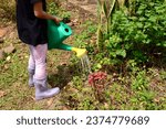 Small photo of girl watering the plants with a watering can. Waldorf pedagogy
