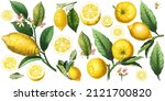 Yellow Lemon Citrus Branches ...