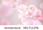 nature background with blossom... | Shutterstock .eps vector #581711296