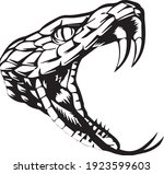 Anaconda Snake Vector...