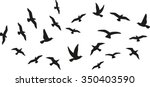 Flock Of Flying Birds