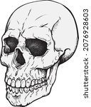 a vector illustration of a skull | Shutterstock .eps vector #2076928603