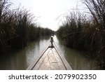 Marshes Of Iraq With Blue Sky...
