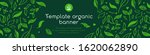 banner organic ingredients ... | Shutterstock .eps vector #1620062890
