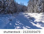 Small photo of Deep snow and frozen over Edict Creek on Tug Hill Plateau in New York State