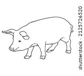 pig line vector illustration... | Shutterstock .eps vector #2125726520