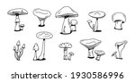 Mushroom Doodle Set. Various...