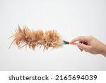 Hand Holding Feather Duster...