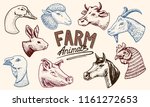 Farm Animals. Head Of A...