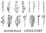 wild flowers with leaves. set... | Shutterstock .eps vector #1304315389