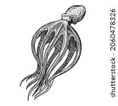 sea octopus. engraved hand... | Shutterstock .eps vector #2060478326