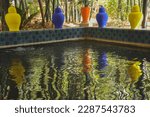 Colourful Garden Pool of Majorelle