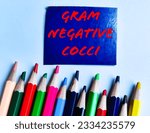 Small photo of Gram-negative cocci, aerobic bacilli bacteria. medical and healthcare conceptual image