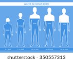 Water In Human Body. The Man At ...