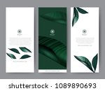 branding packaging tropical... | Shutterstock .eps vector #1089890693