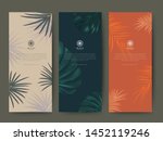 branding packaging tropical... | Shutterstock .eps vector #1452119246