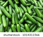 Fresh Cucumber On The Market