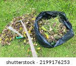 Small photo of Tools for yard (backyard, Greensward, Sward) maintenance (rake, dustpan) to sweep grass and leaves for clean the lawn(Greensward, Sward) after cutting.